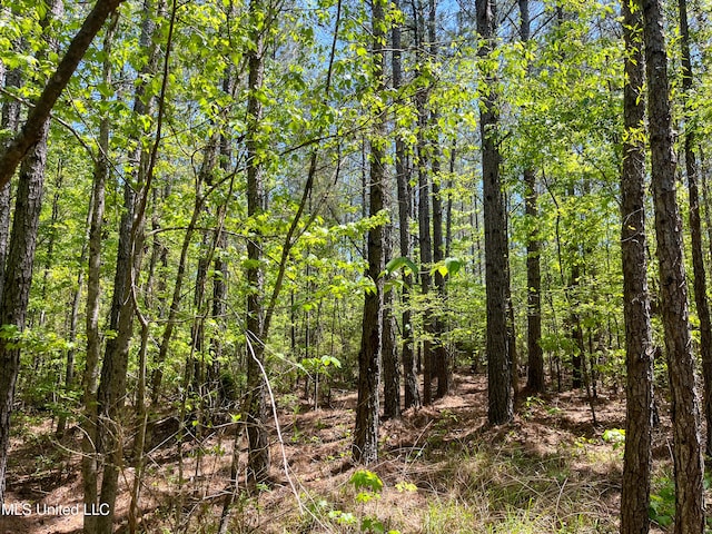 Honeysucker Rd, Camden, MS 39045