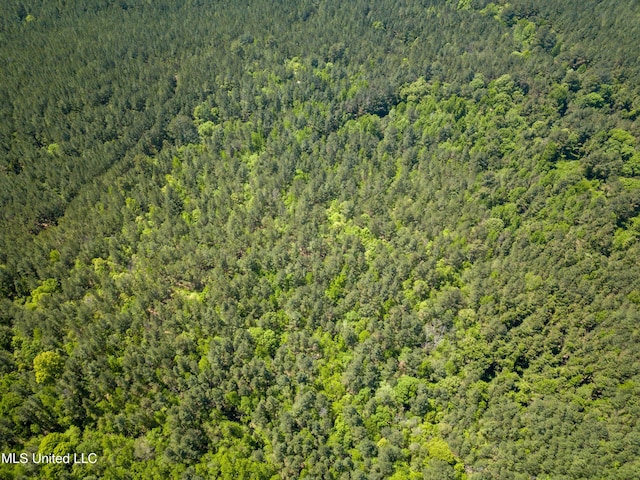Honeysucker Rd, Camden, MS 39045