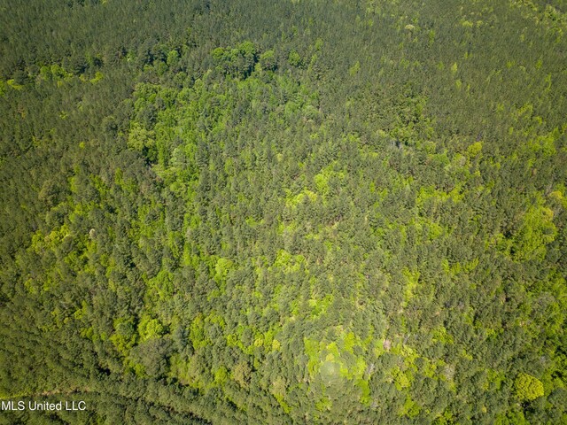Honeysucker Rd, Camden, MS 39045