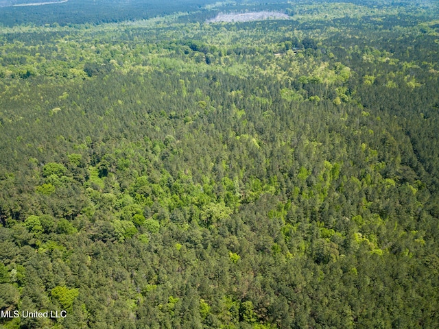 Honeysucker Rd, Camden, MS 39045