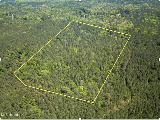 Honeysucker Rd, Camden, MS 39045