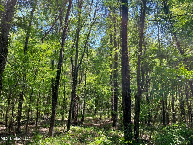 Honeysucker Rd, Camden, MS 39045