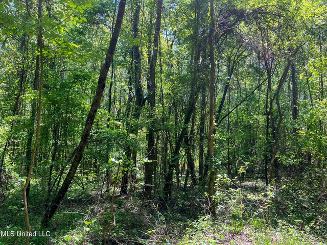 Honeysucker Rd, Camden, MS 39045