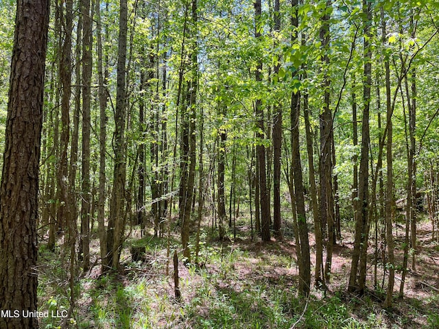 Honeysucker Rd, Camden, MS 39045