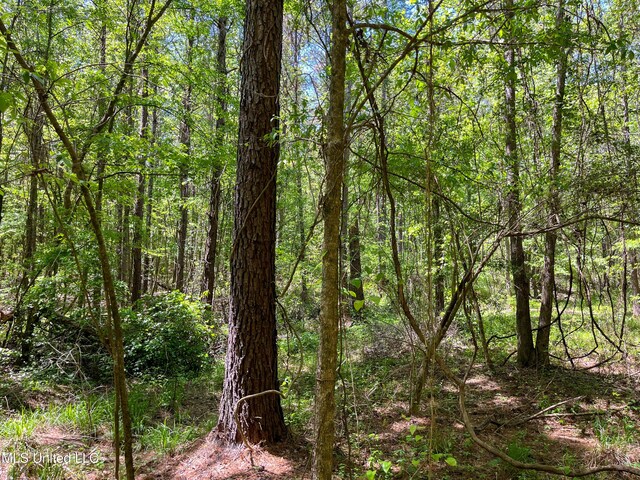Honeysucker Rd, Camden, MS 39045