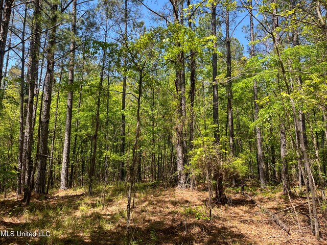 Honeysucker Rd, Camden, MS 39045