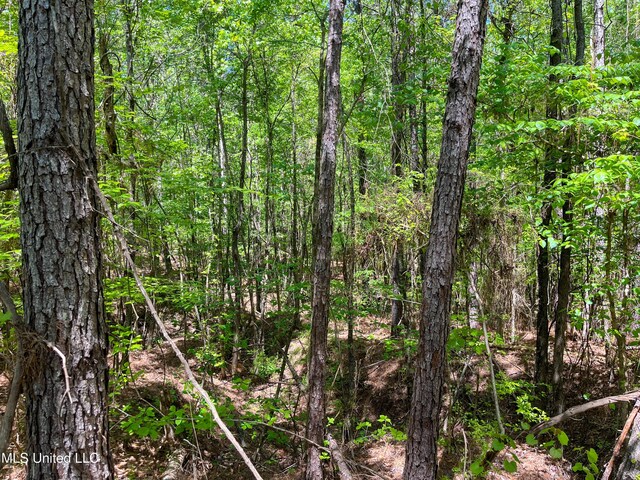 Honeysucker Rd, Camden, MS 39045