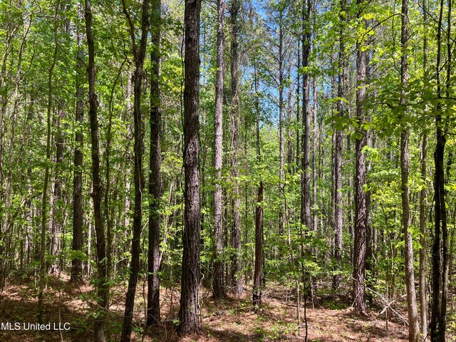 Honeysucker Rd, Camden, MS 39045