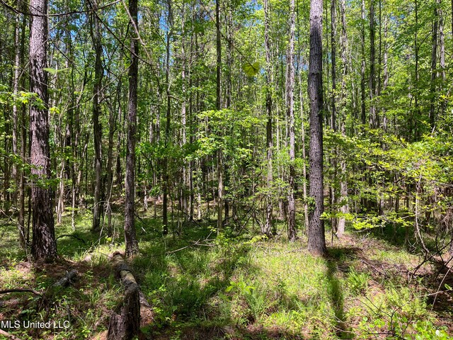Honeysucker Rd, Camden, MS 39045