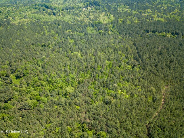 Honeysucker Rd, Camden, MS 39045