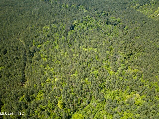Honeysucker Rd, Camden, MS 39045