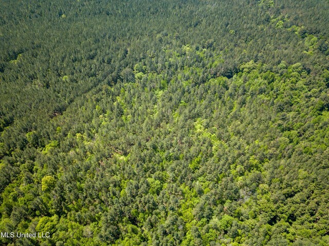 Honeysucker Rd, Camden, MS 39045
