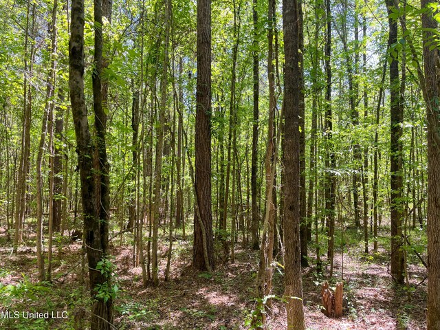 Honeysucker Rd, Camden, MS 39045