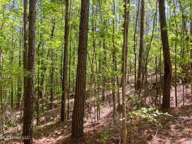 Honeysucker Rd, Camden, MS 39045