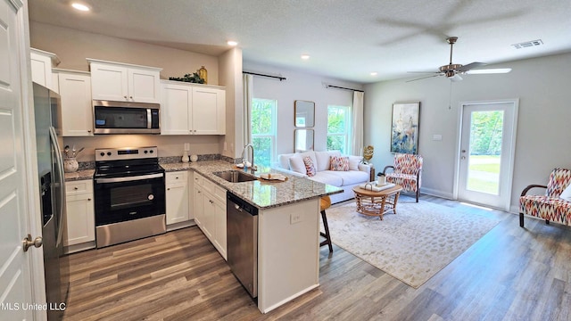 kitchen with stainless steel appliances, a sink, a peninsula, open floor plan, and wood finished floors