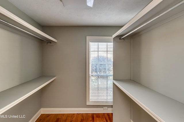 spacious closet with hardwood / wood-style flooring