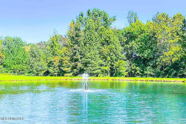 708 Ratliff Ferry Rd, Canton, MS 39046 - view of water feature