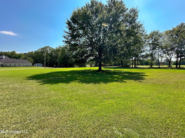 708 Ratliff Ferry Rd, Canton, MS 39046 - view of yard