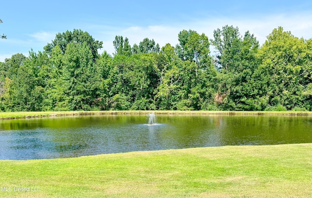 708 Ratliff Ferry Rd, Canton, MS 39046 - water view