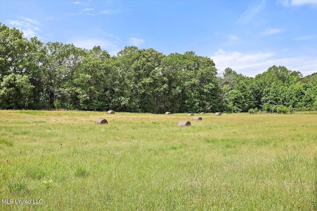 869 B Parks Rd, Pickens, MS 39146