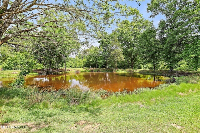 869 B Parks Rd, Pickens, MS 39146