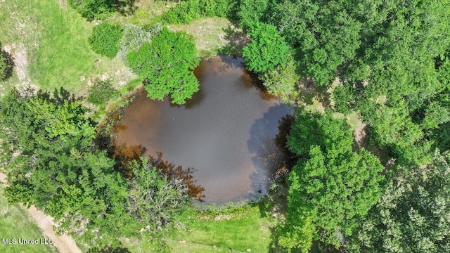 869 B Parks Rd, Pickens, MS 39146