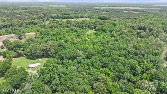869 B Parks Rd, Pickens, MS 39146