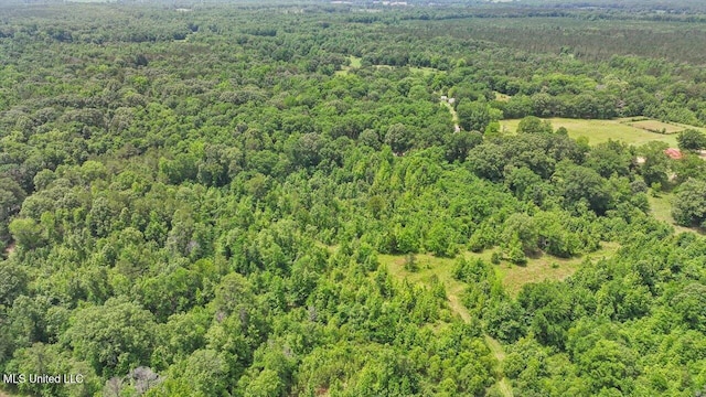 869 B Parks Rd, Pickens, MS 39146