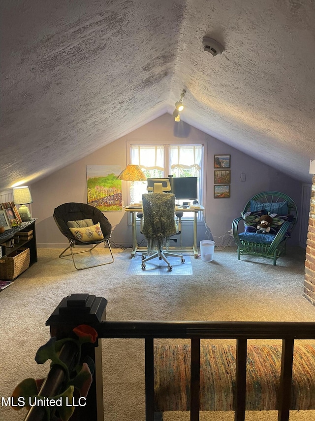 800 Gillespie St, Jackson, MS 39202 - carpeted home office featuring a textured ceiling and vaulted ceiling