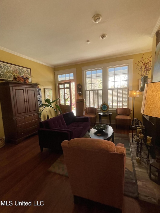 800 Gillespie St, Jackson, MS 39202 - living room featuring crown molding, dark wood-type flooring, and plenty of natural light