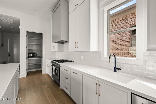 113 Water St, Madison, MS 39110 - kitchen featuring stainless steel stove, a sink, dark wood-style floors, and decorative backsplash