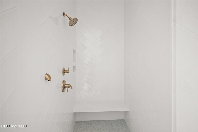 113 Water St, Madison, MS 39110 - bathroom view of tiled shower