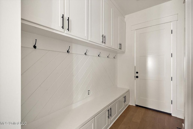 113 Water St, Madison, MS 39110 - mudroom with dark wood-type flooring