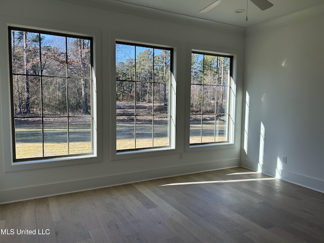 unfurnished room with ceiling fan and hardwood / wood-style flooring