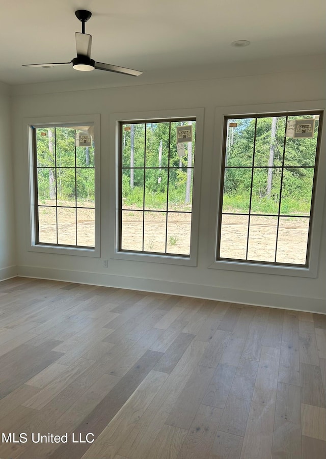 unfurnished room with light hardwood / wood-style flooring and ceiling fan