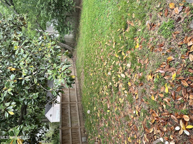 425 Downing St, Jackson, MS 39216 - view of yard