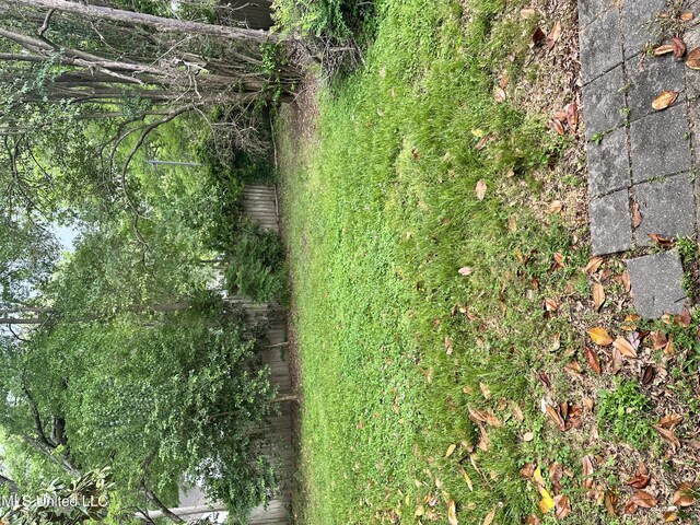 425 Downing St, Jackson, MS 39216 - view of yard