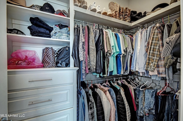 view of spacious closet