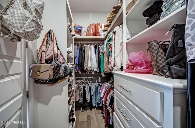 spacious closet featuring wood finished floors
