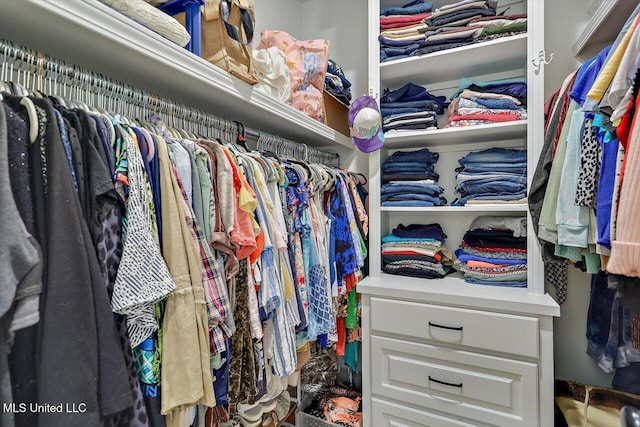 221 Lost Oak Ln, Brandon, MS 39047 - view of walk in closet