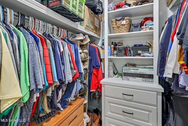 221 Lost Oak Ln, Brandon, MS 39047 - view of walk in closet
