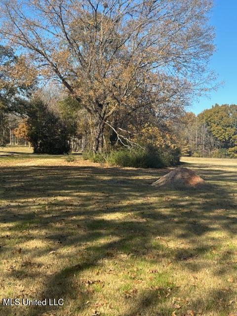 9404 Byhalia Rd, Olive Branch MS, 38654 land for sale