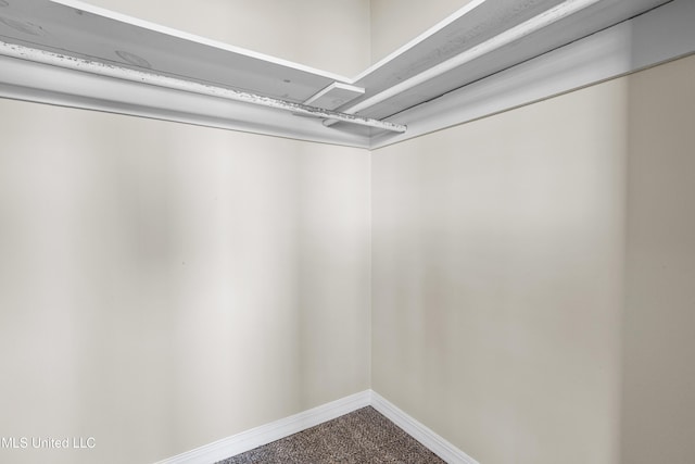 spacious closet with carpet floors