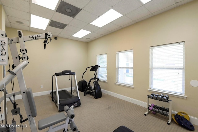 workout area featuring a wealth of natural light, a paneled ceiling, and carpet flooring