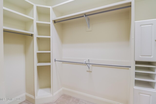 spacious closet featuring carpet flooring