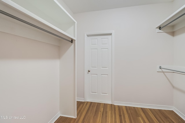 spacious closet featuring dark hardwood / wood-style flooring