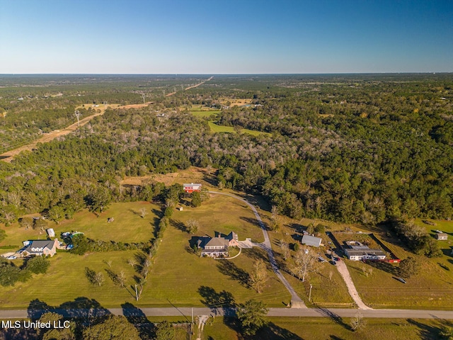 drone / aerial view featuring a rural view