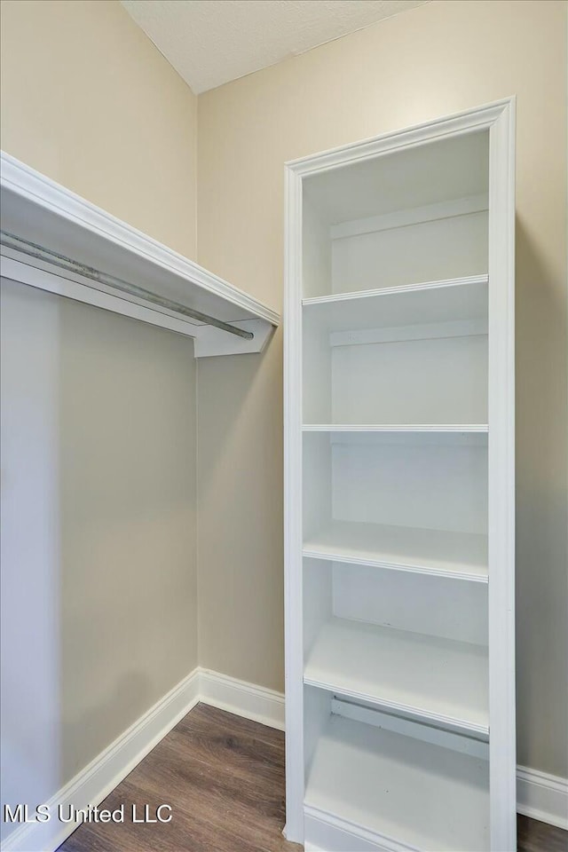 spacious closet featuring dark wood-type flooring