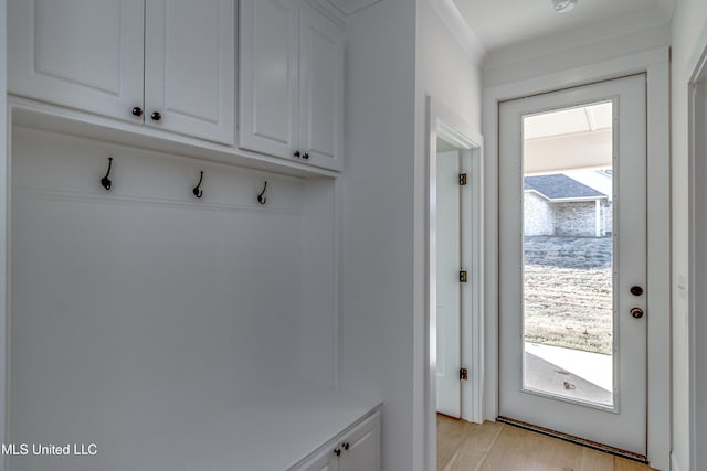 mudroom featuring light hardwood / wood-style floors