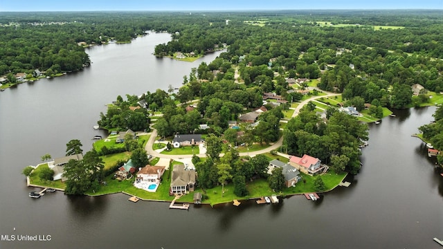 611 E E Lakeshore Dr, Carriere, MS 39426 - drone / aerial view of a large body of water